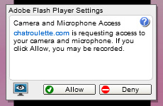 ChatRoulette Webcam: Click Close